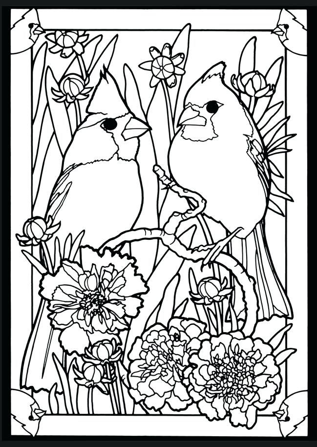 649x915 Cardinal Coloring Pages