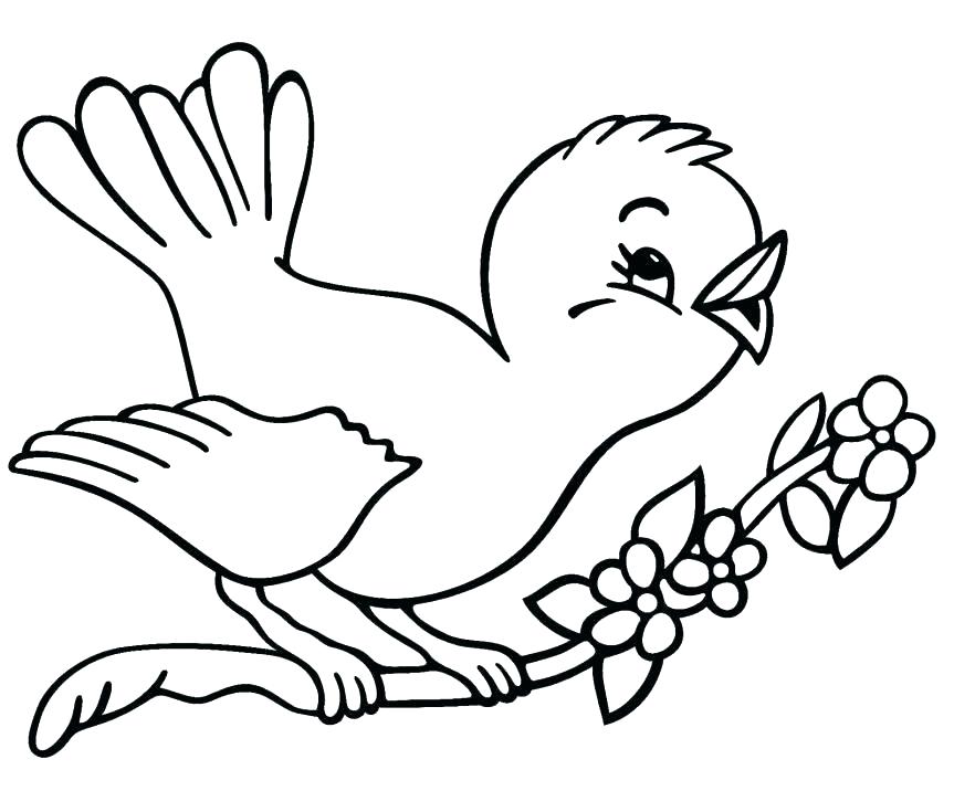 863x716 Cardinal Pictures To Color