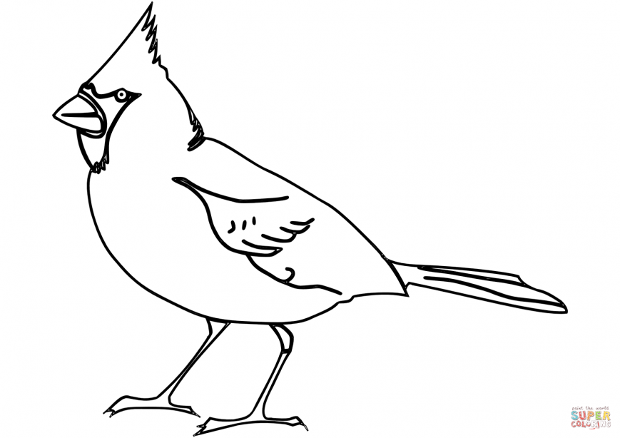 869x614 Cardinal Coloring Page Photos High Resolution Pages Az Cardinals