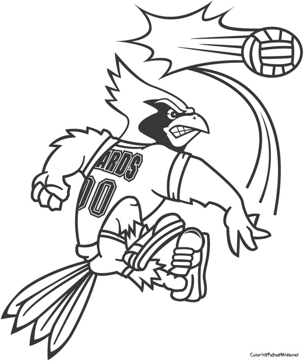 600x711 Cardinal Coloring Pages