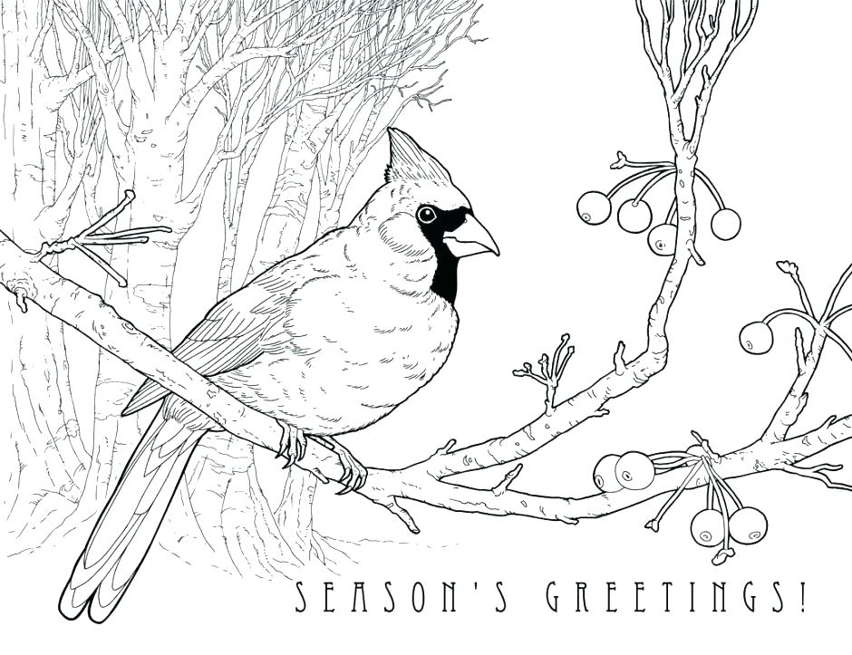 940x723 Cardinal Coloring Pages Cardinal Coloring Page With Cardinal