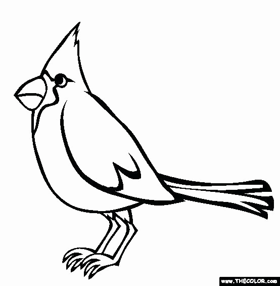 554x565 12 Awesome Of St Louis Cardinals Logo Coloring Pages Photos