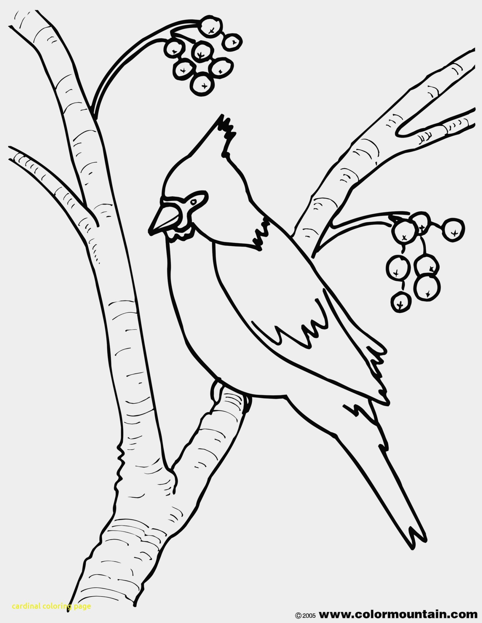 1620x2096 Shocking St Louis Cardinals Logo Coloring Page Supercoloring Diy