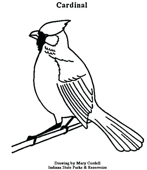 477x550 St Louis Cardinals Coloring Pages Cardinal Coloring Pages Cardinal
