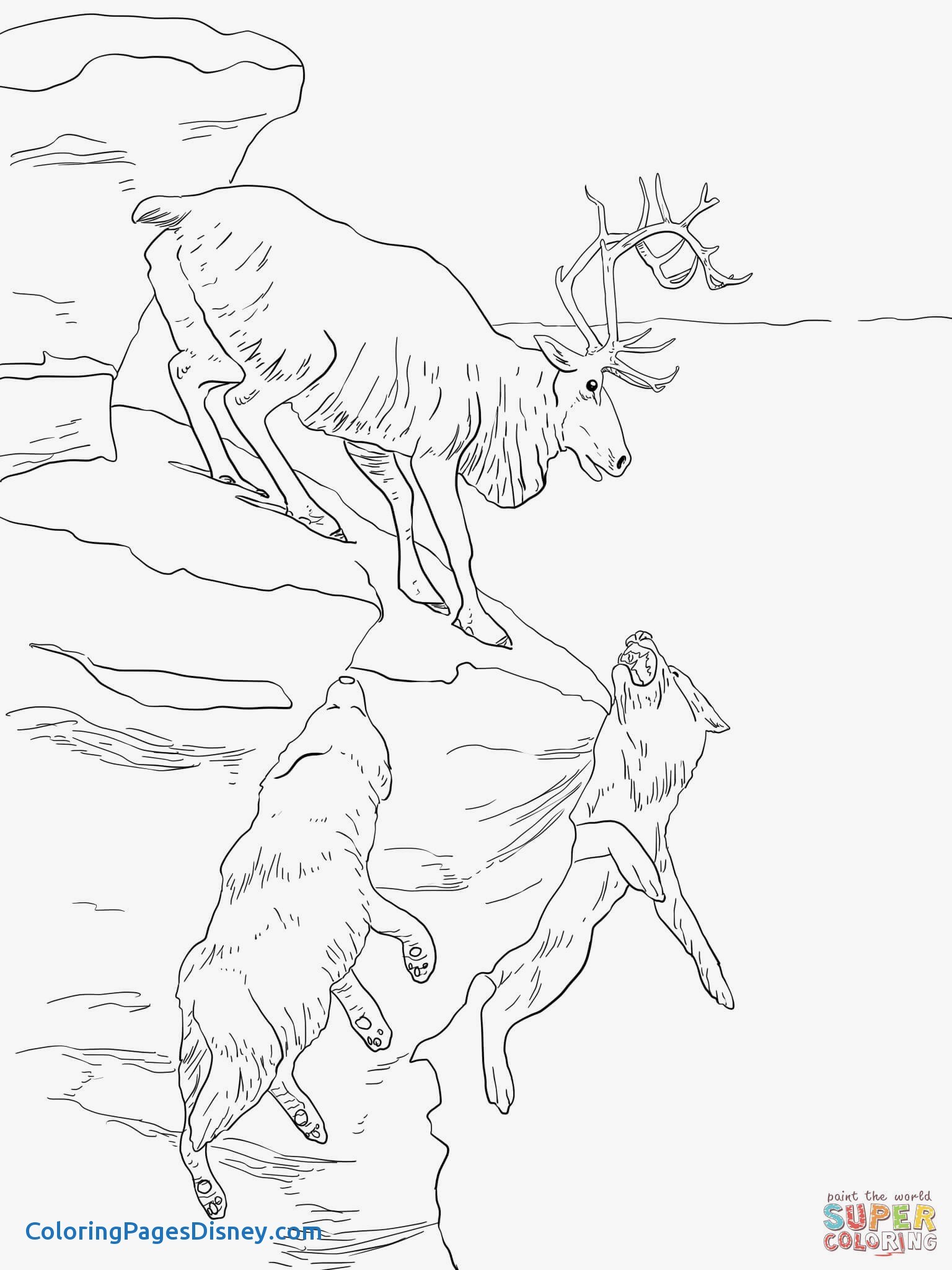 1536x2048 Caribou Coloring Pages Luxury Peary Caribou Coloring Page