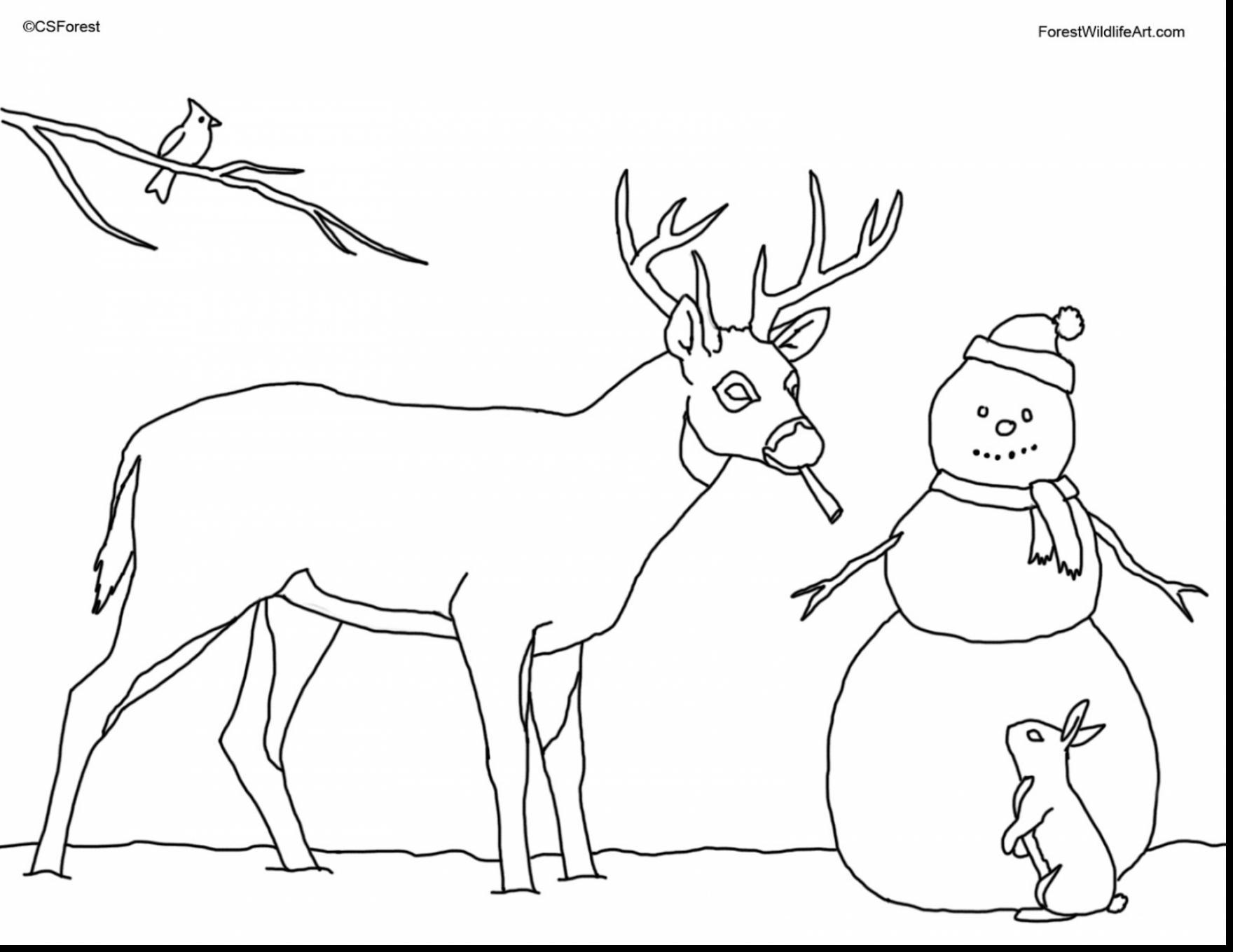 1760x1359 Appealing Tractor Printable Coloring Pages For John Deere To Print