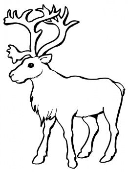 262x350 Top 20 Free Printable Reindeer Coloring Pages Online Wild