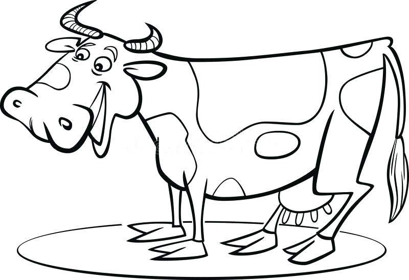 800x548 Cow Coloring Page Download Cartoon Cow Coloring Page Stock Vector