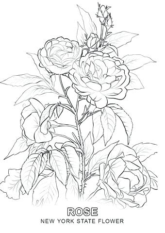 340x480 New York Coloring Pages John Caricature Coloring Page New State