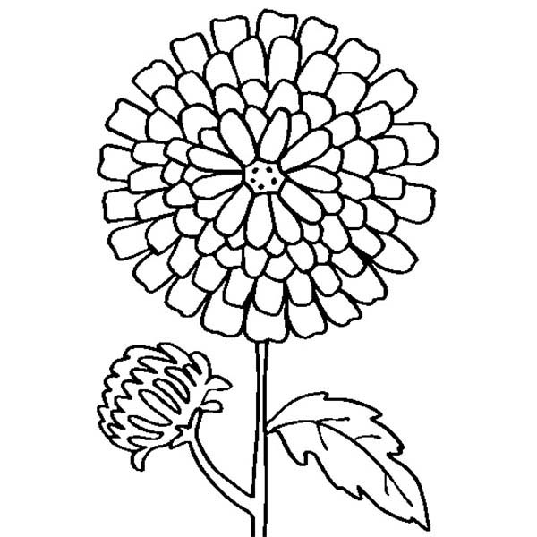 600x600 Portuguese Carnation Revolution Coloring Page Coloring Sun