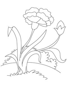236x306 Flower Page Printable Coloring Sheets Coloring Pages 01 January