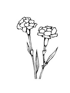 236x314 Dibujos De Flores