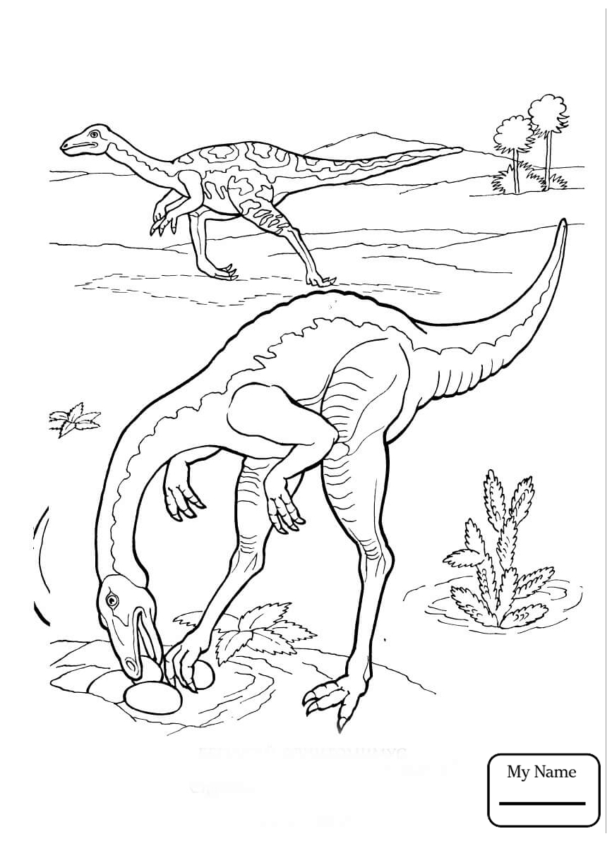 867x1192 Coloring Pages For Kids Saurischian Dinosaurs Oviraptors