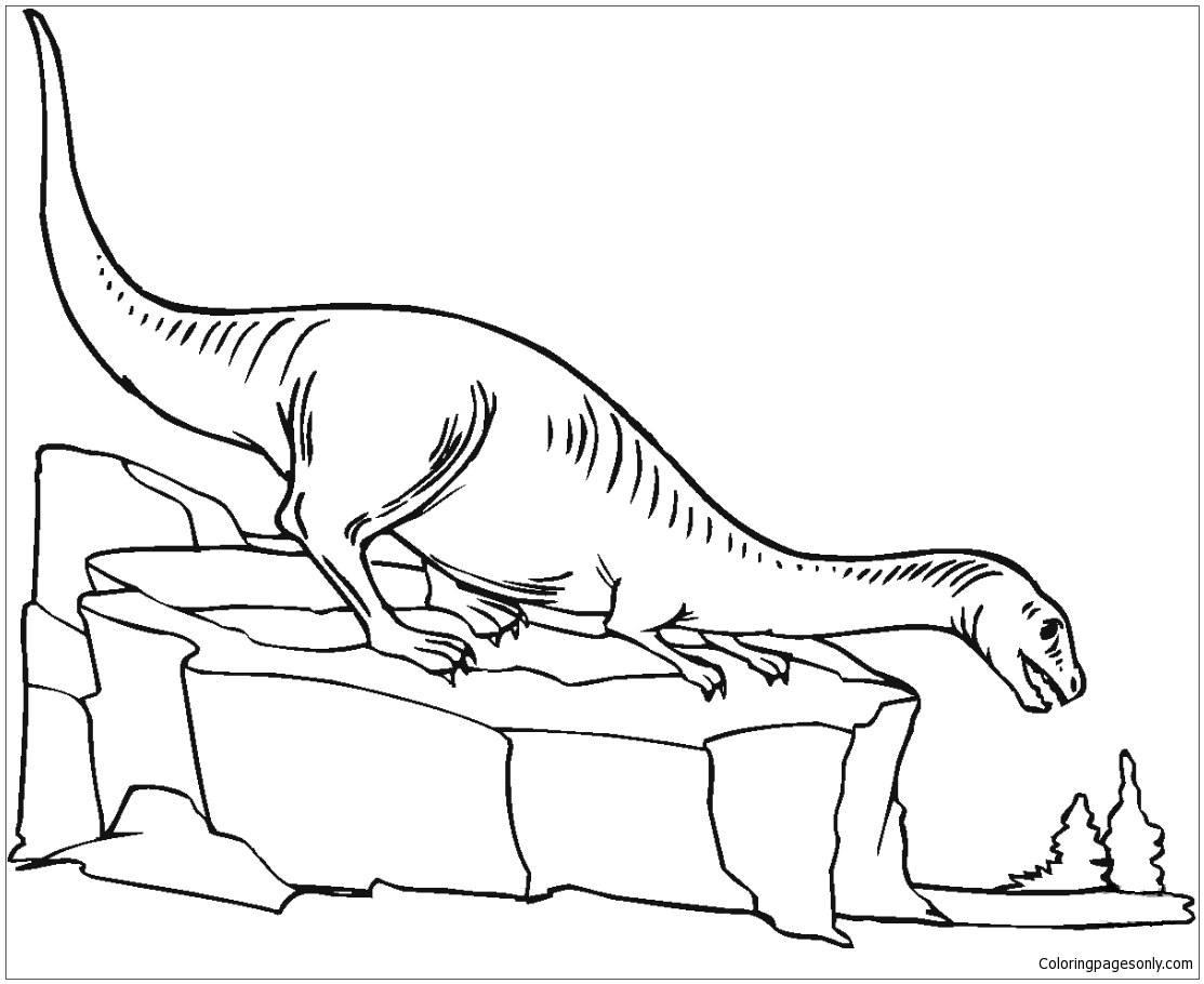 1113x910 Plateosaurus 11 Coloring Page