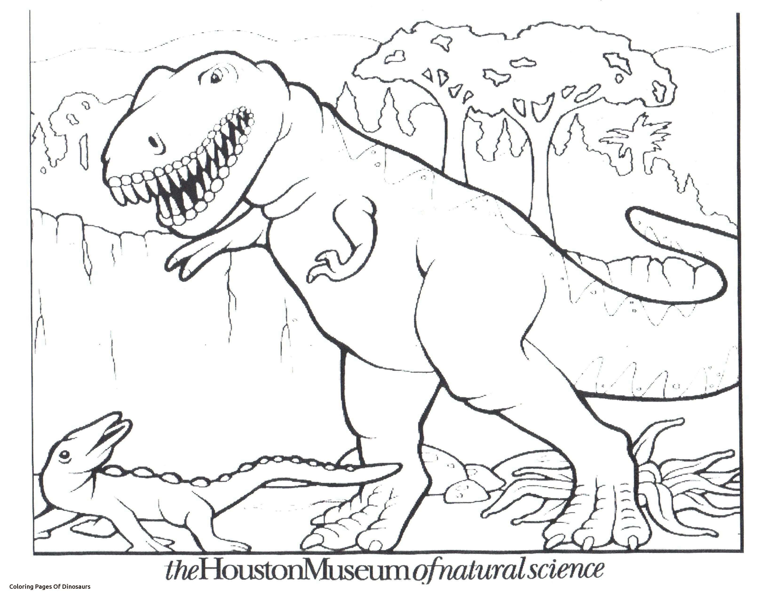 3300x2550 Triceratops Dinosaur Smiling Coloring Pages For Kids New Dinosaur