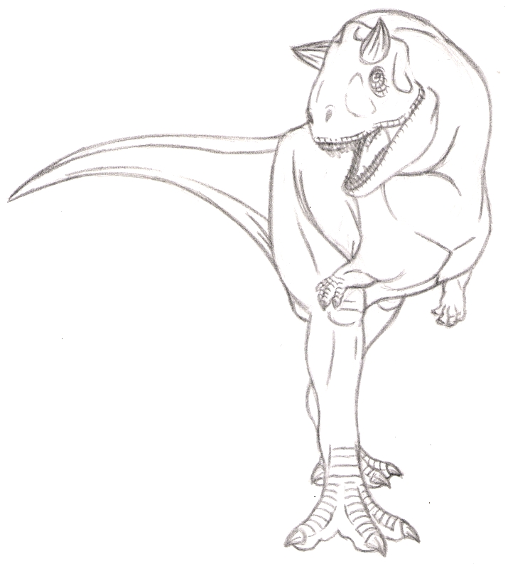 715x800 Carnotaurus Dinosaur Coloring Pages Dinosaurs Pictures And Facts