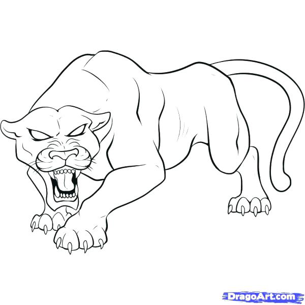 600x600 Carolina Panthers Coloring Pages Panther Coloring Page Awesome