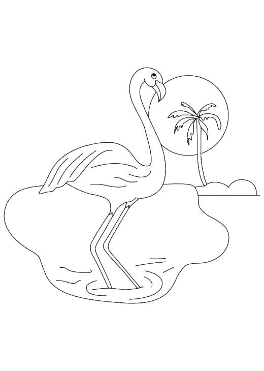 520x730 Carolina Panthers Coloring Pages Shippa.co