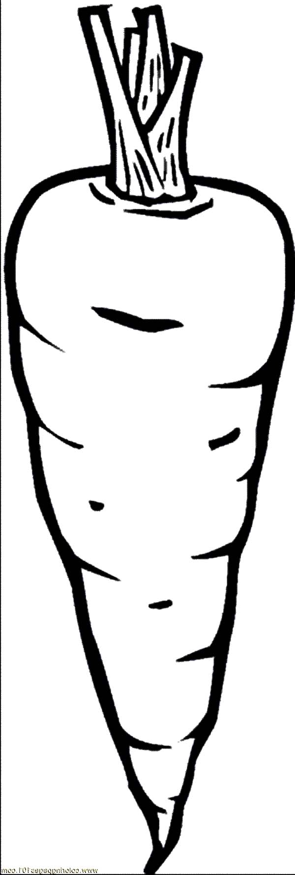 Carrot Coloring Page