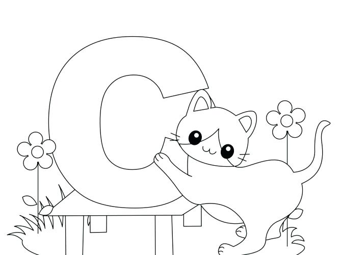 667x500 Carrot Coloring Pages Medium Size Of Carrot Coloring Page Superb