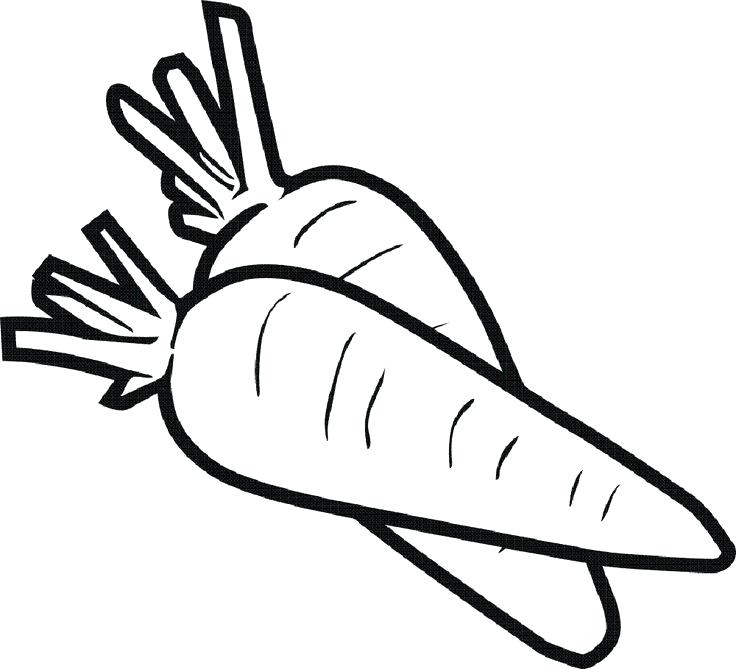 736x669 Outstanding Carrot Coloring Page In Download Coloring Pages