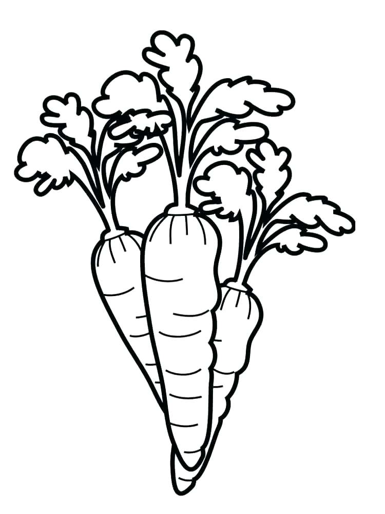 750x1000 Carrot Coloring Pages