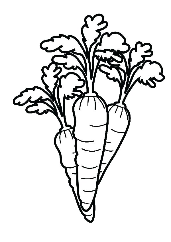 600x849 Carrot Coloring Pages Shippa.co