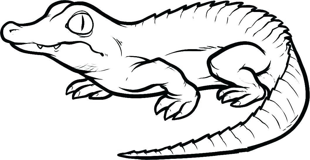 Cartoon Alligator Coloring Pages