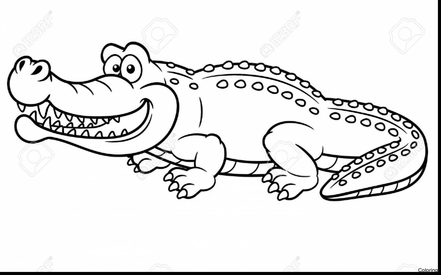 1430x893 Alligator Coloring Pages Discover All