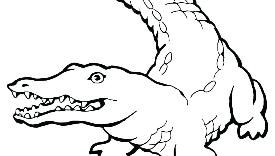 960x544 Coloring Page Alligator Alligator G Page Alligators Pages Look