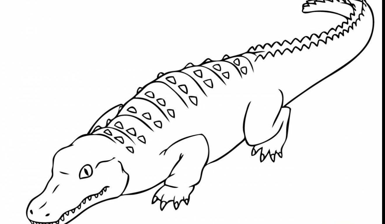 1320x768 Fancy Alligator Coloring Pages For Site Adults Free Printable