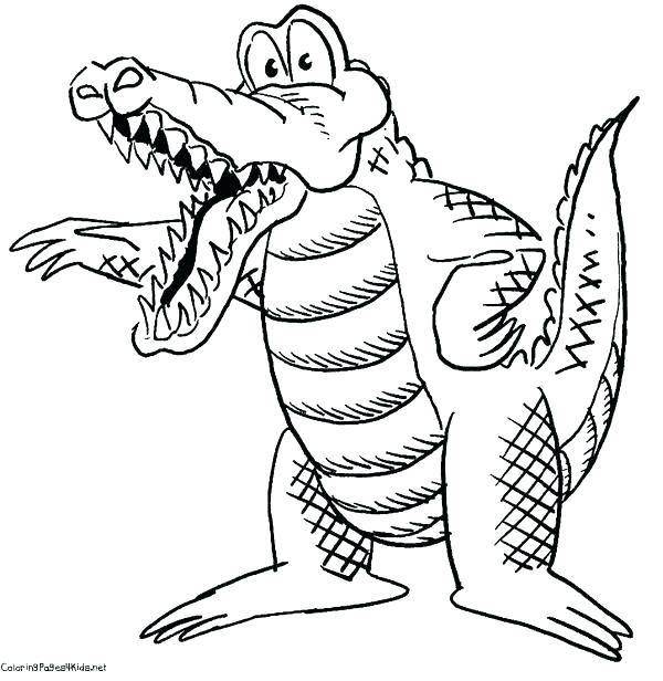 600x616 Gator Coloring Pages Cartoon Crocodile Coloring Pages Gator