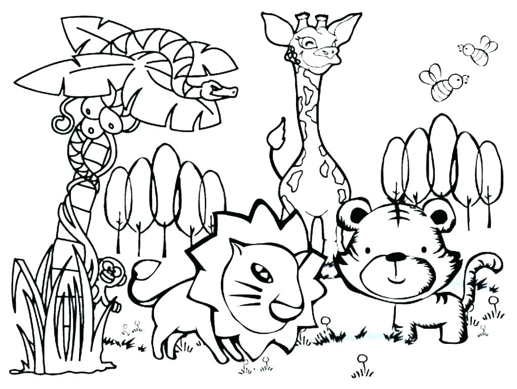 1020x768 Wild Animal Coloring Pages Icontent