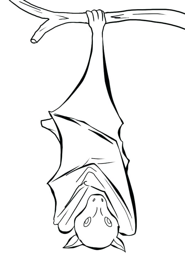 600x900 Bats Coloring Pages S S Printable Baseball Bat Coloring Pages