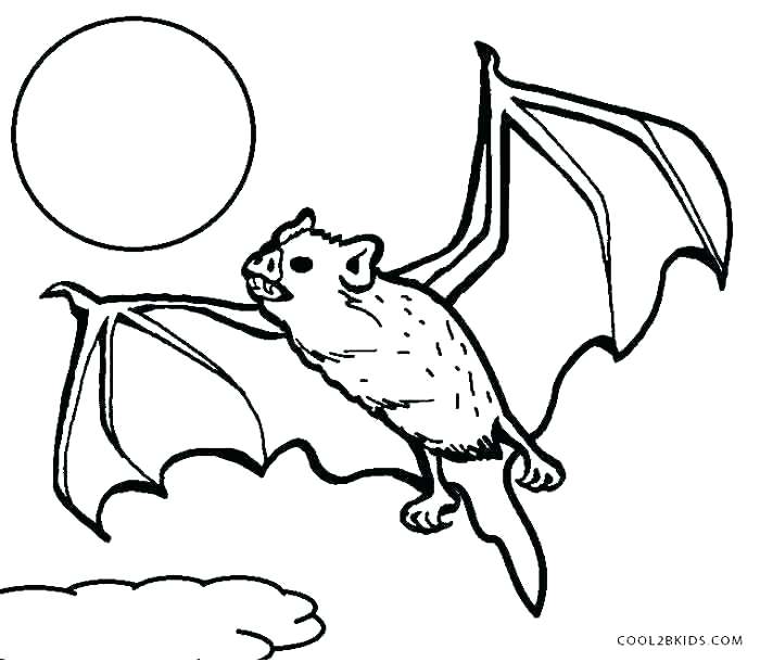700x610 Rouge The Bat Coloring Pages Page Coloring Pages Free Power