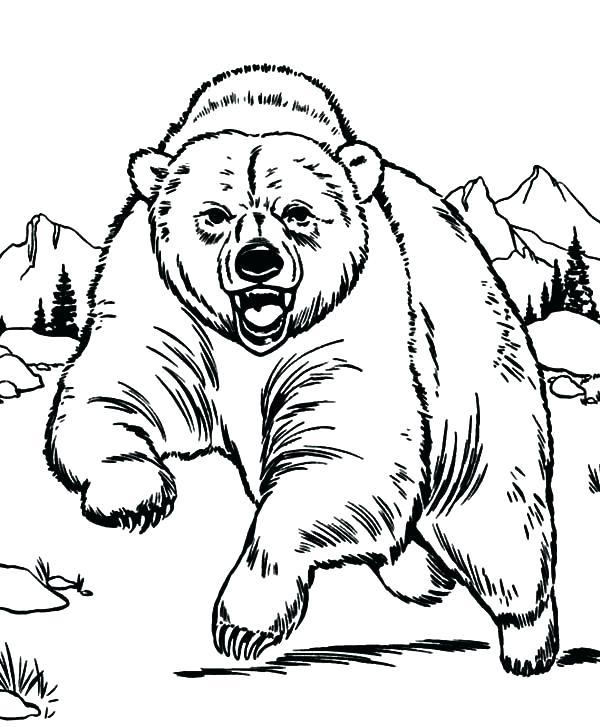 600x727 Little Bear Coloring Pages Cartoon Panda Bear Coloring Pages