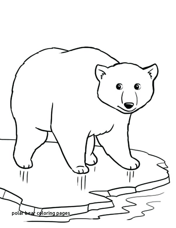 600x777 Polar Bear Coloring Page Coloring Pages Draw A Polar Bear Cartoon