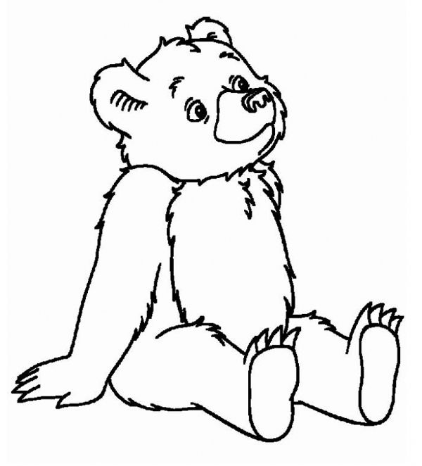 600x662 Little Bear Coloring Pages