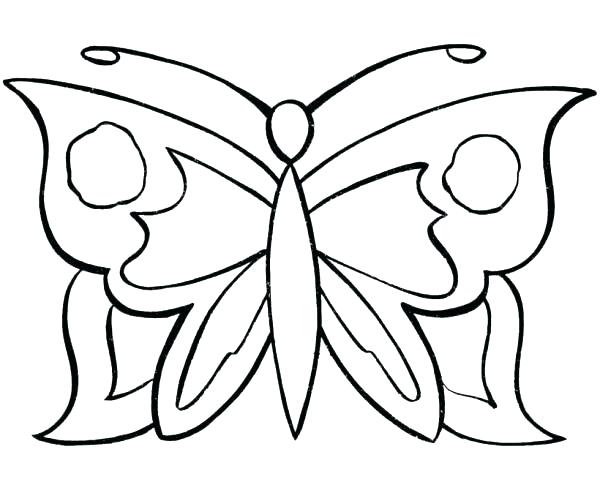 600x490 Butterfly Color Sheets Big Butterfly Pictures Color Butterfly