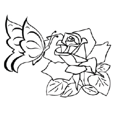 230x230 Top 50 Free Printable Butterfly Coloring Pages Online