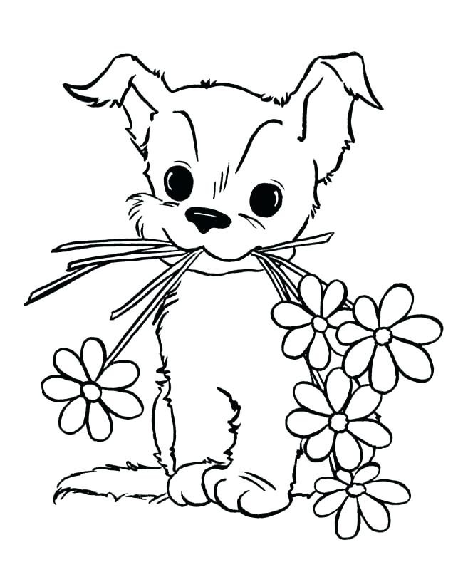 650x796 Baby Animal Coloring Pages Cute Baby Animals Cartoon Drawings Cute