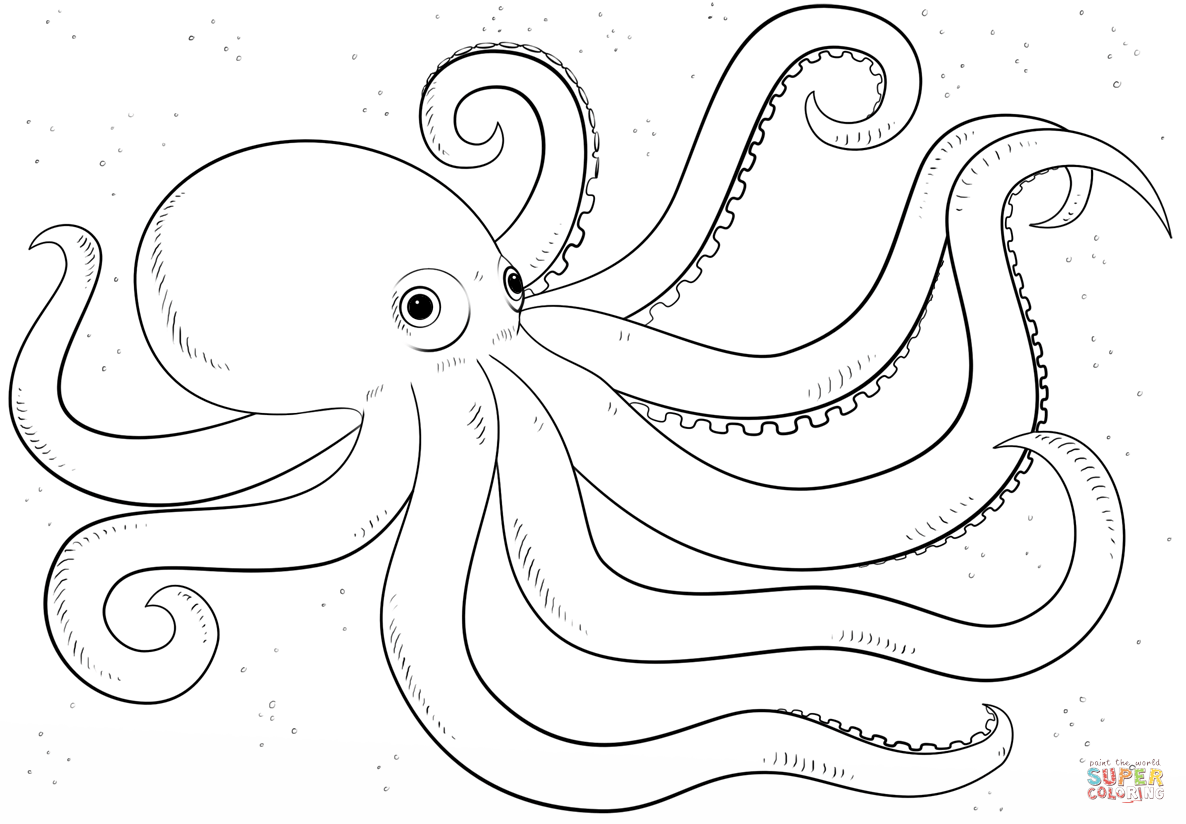1186x824 Willpower Octopus Pictures To Colour Animals Coloring Pages