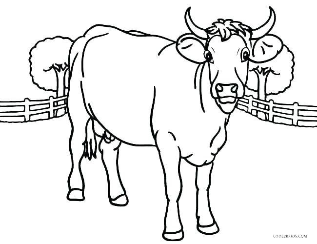 650x500 Cow Coloring Pages Coloring Book Cow Coloring Pages Cow Coloring