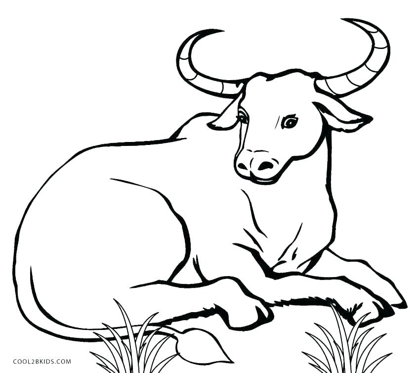 850x754 Inspiring Cows Coloring Pages Amazing Sheep Coloring Page For Cute