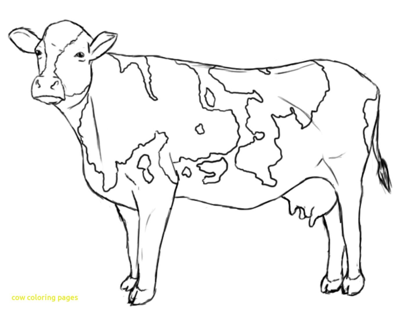 1443x1080 Suddenly Cartoon Cow Coloring Pages Freecolorngpages Co At Cow