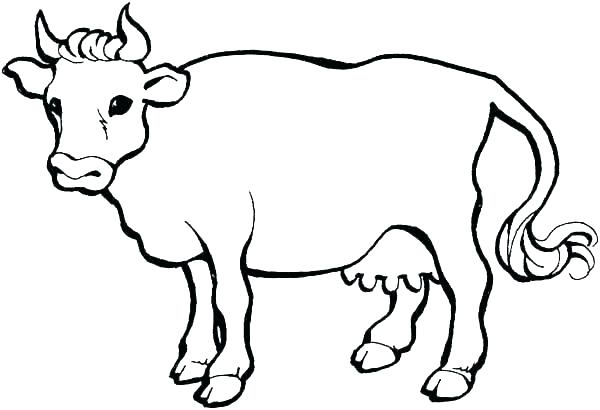 600x410 Cartoon Cow Coloring Pages Coloring Pages Of Cows Cow 4 Coloring