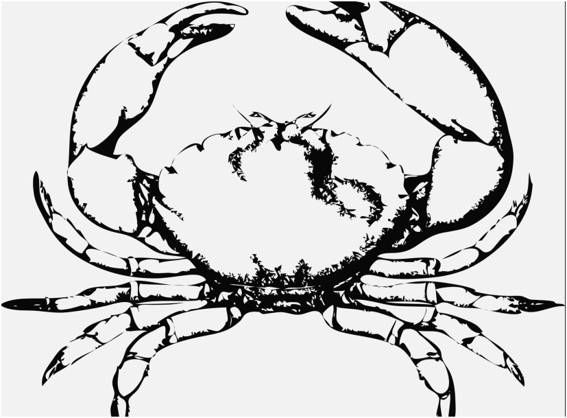 827x609 Crab Coloring Pages Graphic Unbelievable Horseshoe Crab Cartoon