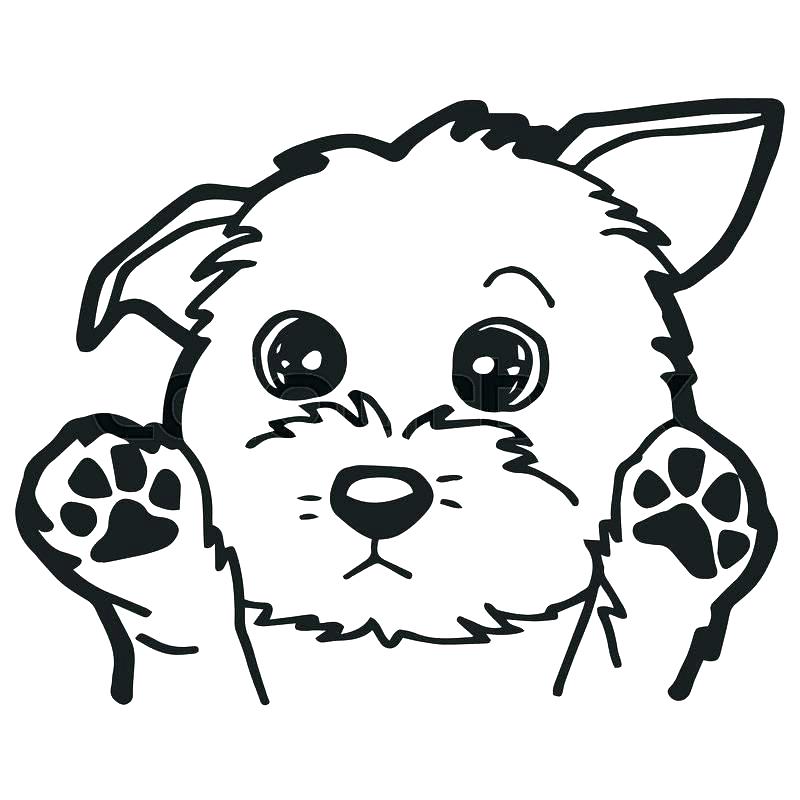 800x800 Cartoon Dog Coloring Pages Dog Pictures For Coloring Cartoon Dog