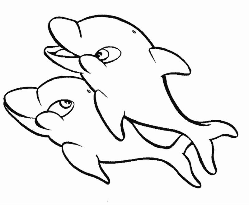 800x661 Baby Dolphin Coloring Pages