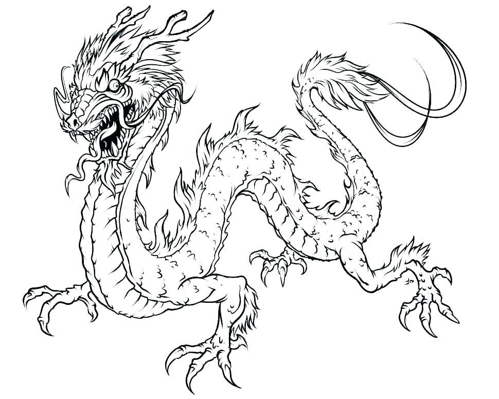 970x776 Cute Dragon Coloring Pages